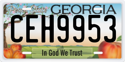 GA license plate CEH9953