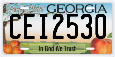 GA license plate CEI2530