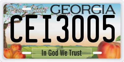 GA license plate CEI3005