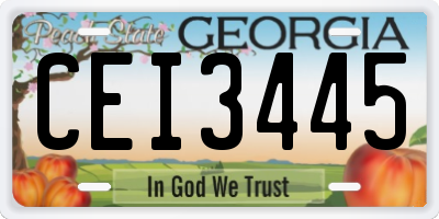 GA license plate CEI3445