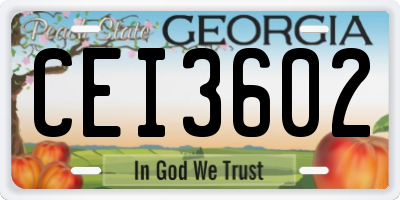 GA license plate CEI3602
