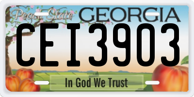 GA license plate CEI3903