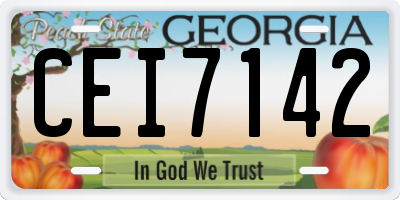GA license plate CEI7142