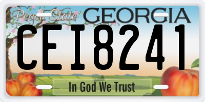 GA license plate CEI8241