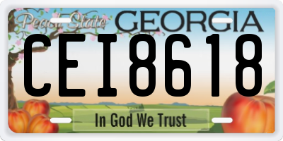 GA license plate CEI8618