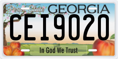 GA license plate CEI9020