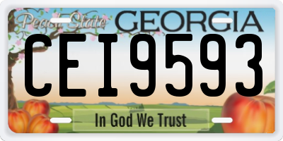 GA license plate CEI9593