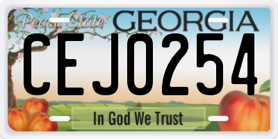 GA license plate CEJ0254