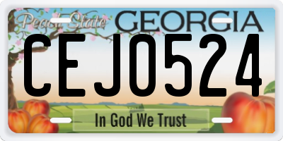 GA license plate CEJ0524