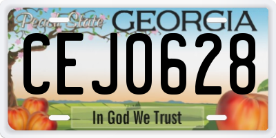 GA license plate CEJ0628