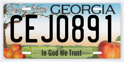 GA license plate CEJ0891