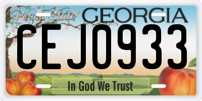 GA license plate CEJ0933
