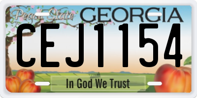 GA license plate CEJ1154