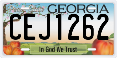 GA license plate CEJ1262