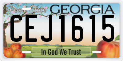 GA license plate CEJ1615