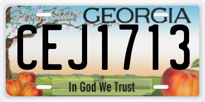 GA license plate CEJ1713
