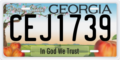 GA license plate CEJ1739
