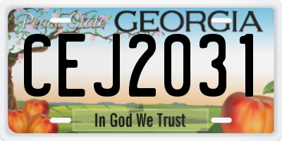 GA license plate CEJ2031
