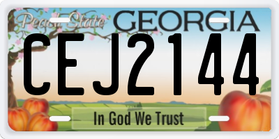 GA license plate CEJ2144