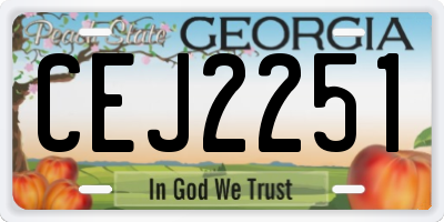GA license plate CEJ2251