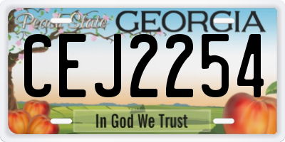 GA license plate CEJ2254