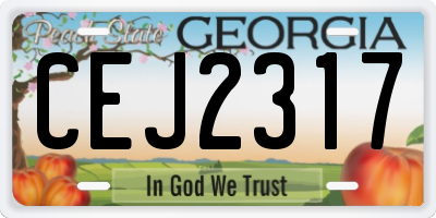 GA license plate CEJ2317