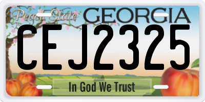 GA license plate CEJ2325