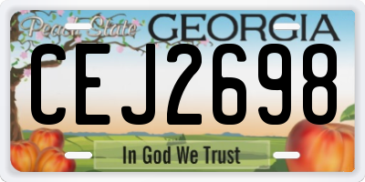 GA license plate CEJ2698