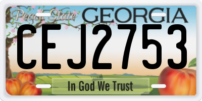 GA license plate CEJ2753