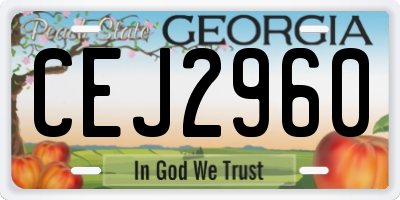 GA license plate CEJ2960