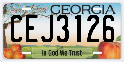GA license plate CEJ3126