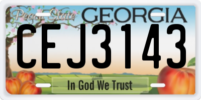 GA license plate CEJ3143
