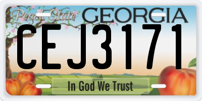 GA license plate CEJ3171