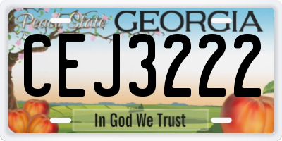 GA license plate CEJ3222