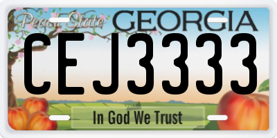 GA license plate CEJ3333