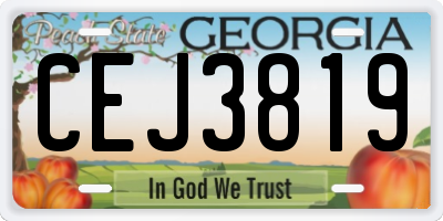 GA license plate CEJ3819