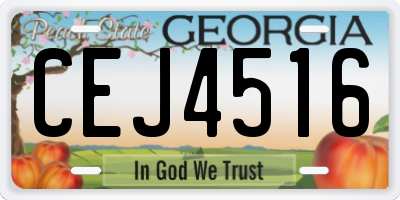 GA license plate CEJ4516