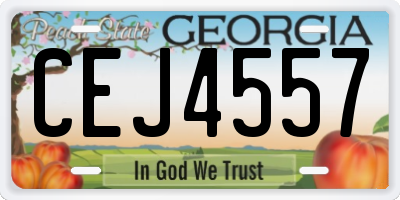 GA license plate CEJ4557
