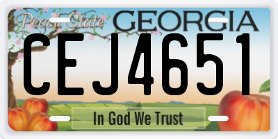 GA license plate CEJ4651