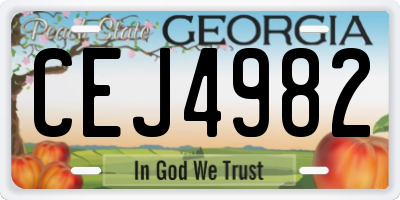 GA license plate CEJ4982