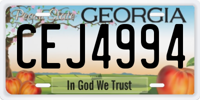 GA license plate CEJ4994