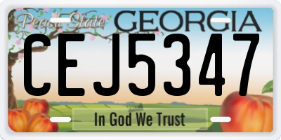 GA license plate CEJ5347