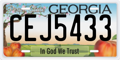GA license plate CEJ5433
