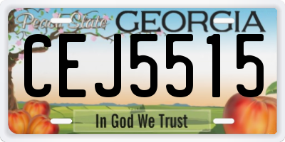 GA license plate CEJ5515