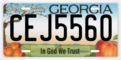 GA license plate CEJ5560