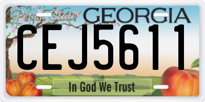 GA license plate CEJ5611