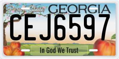 GA license plate CEJ6597