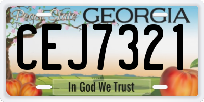GA license plate CEJ7321