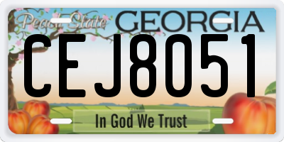 GA license plate CEJ8051