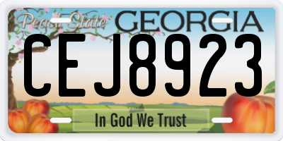 GA license plate CEJ8923